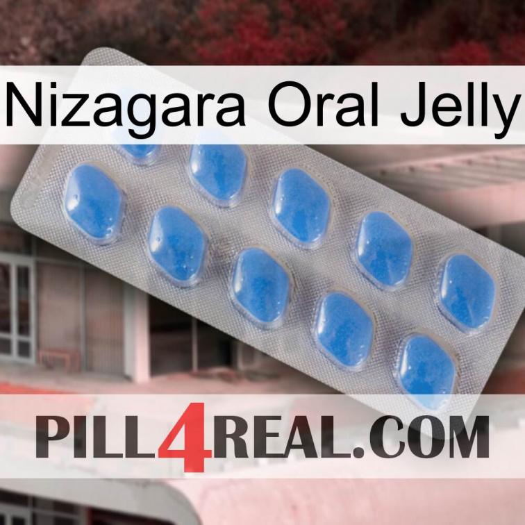 Nizagara Oral Jelly 22